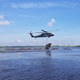 Bales of discarded Christmas trees were dropped in the Bayou Sauvage National Wildlife Refuge on Thursday.